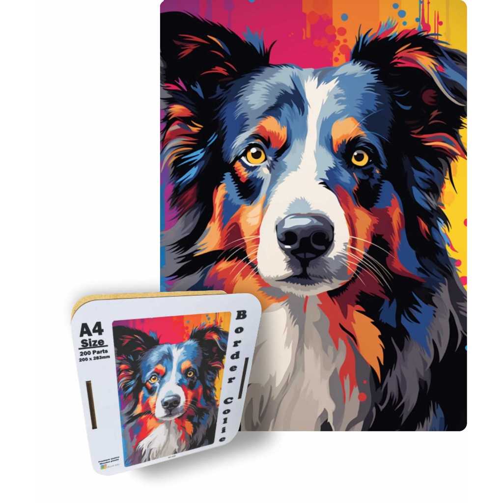 Border Colie: Guia Completo e Onde Comprar | BuscaProdutos