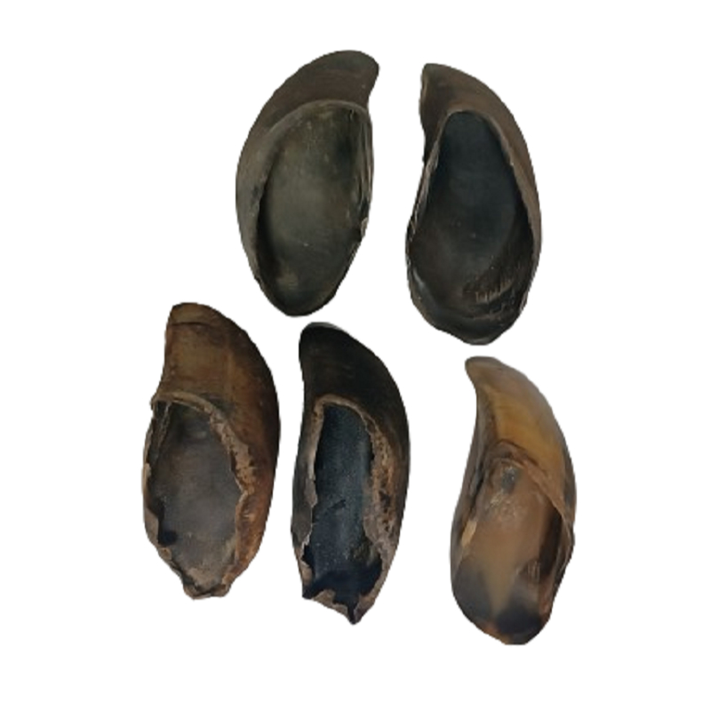 Kit 5 Casco Bovino 100% Natural