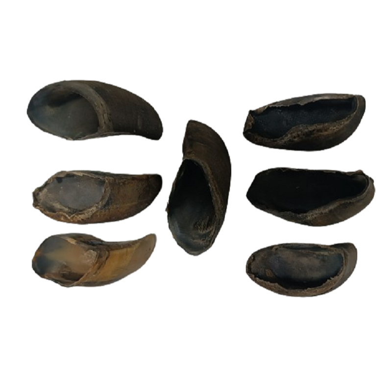 Kit 7 Casco Bovino 100% Natural