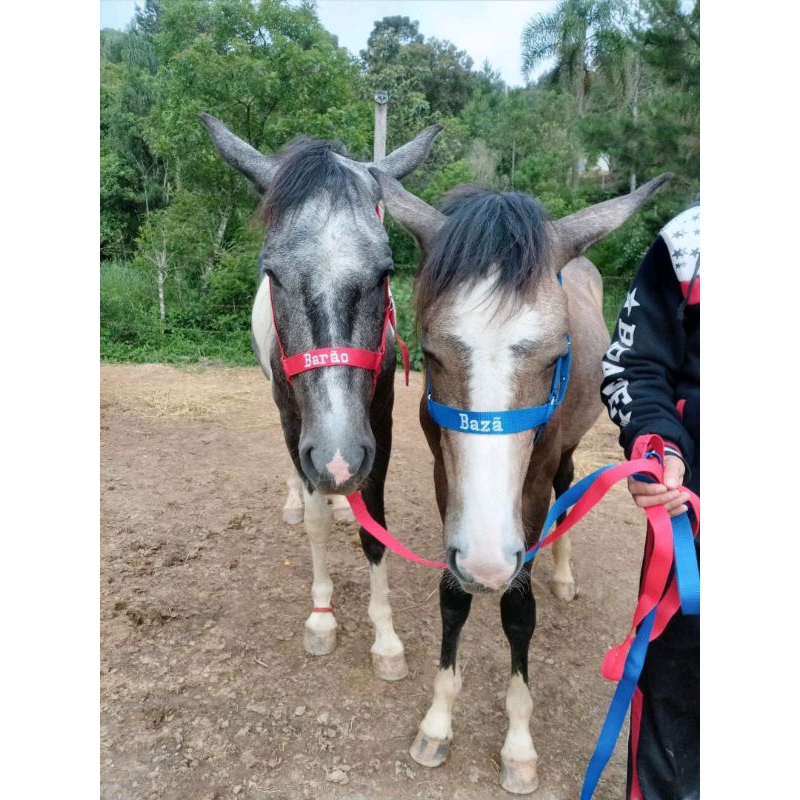 2 cabrestos personalizados para cavalos .com cabo guia ,cabresto de luxo para cavalgada exposição e lida do dia