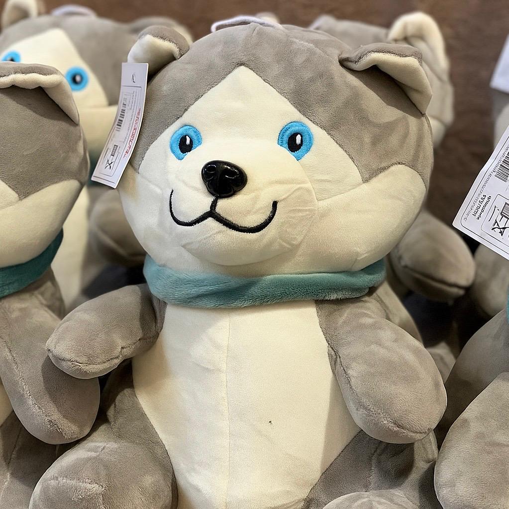 Husky Siberiano Cachorro: Onde Comprar | BuscaProdutos