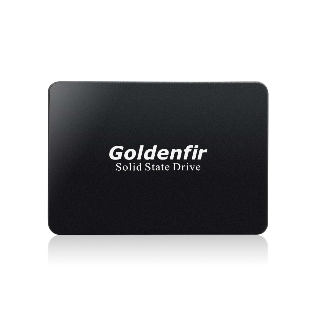 SSD GOLDENFIR T800 / T650 1TB DISCO SÓLIDO INTERNO SSD 1TB