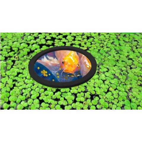 Kit com 05 Anéis Flutuantes VD3D – Separador de Plantas e Anel de Alimentação para Aquários