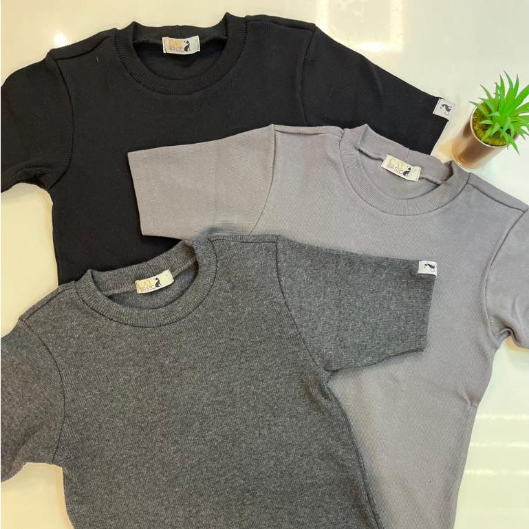 Kit 3 Blusas Feminina Manga Curta Malha Canelada Ribana Verão Blogueirinha Cores Sortidas em Oferta na Shopee