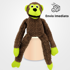 Brinquedo Para Cachorro Pets Pelúcia Macaco Mordedor Apito Sonoro - Tam. Unico em Oferta na Shopee