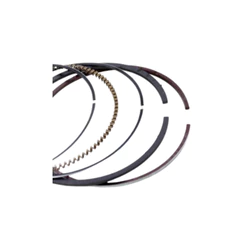 Jogo De Anéis De Segmento TAKAO Medida Stander Para Nissan Sentra 2.0L 16V 2007 ASD18/STD