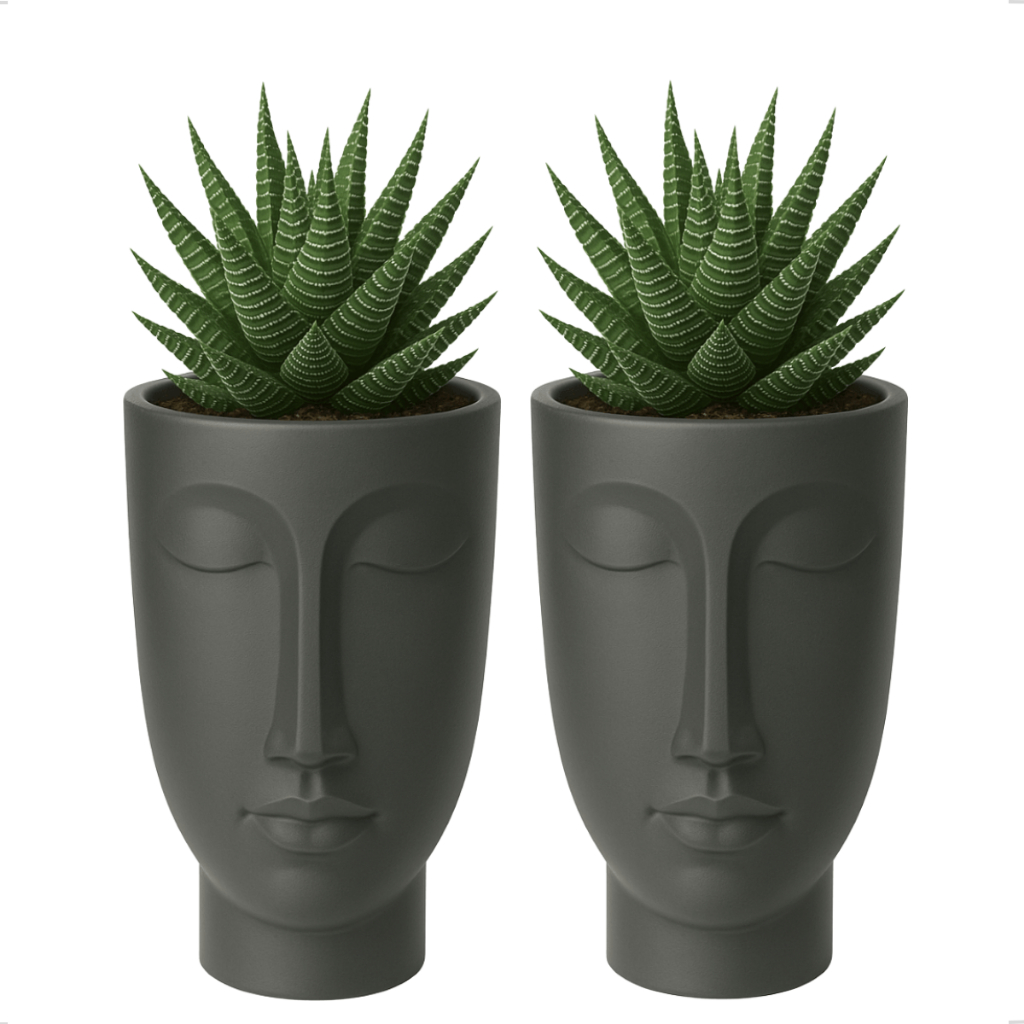 Kit Conjunto 2 Vaso Decorativo Planta Face Rosto Cabeça Homem N24 Preto Plastico Nutriplast Cachepot