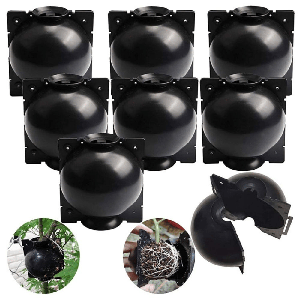 Kit 4 Esfera Bola Enraizadora Rooter Clonagem Alporquia de Plantas Galhos Arvores em Oferta na Shopee