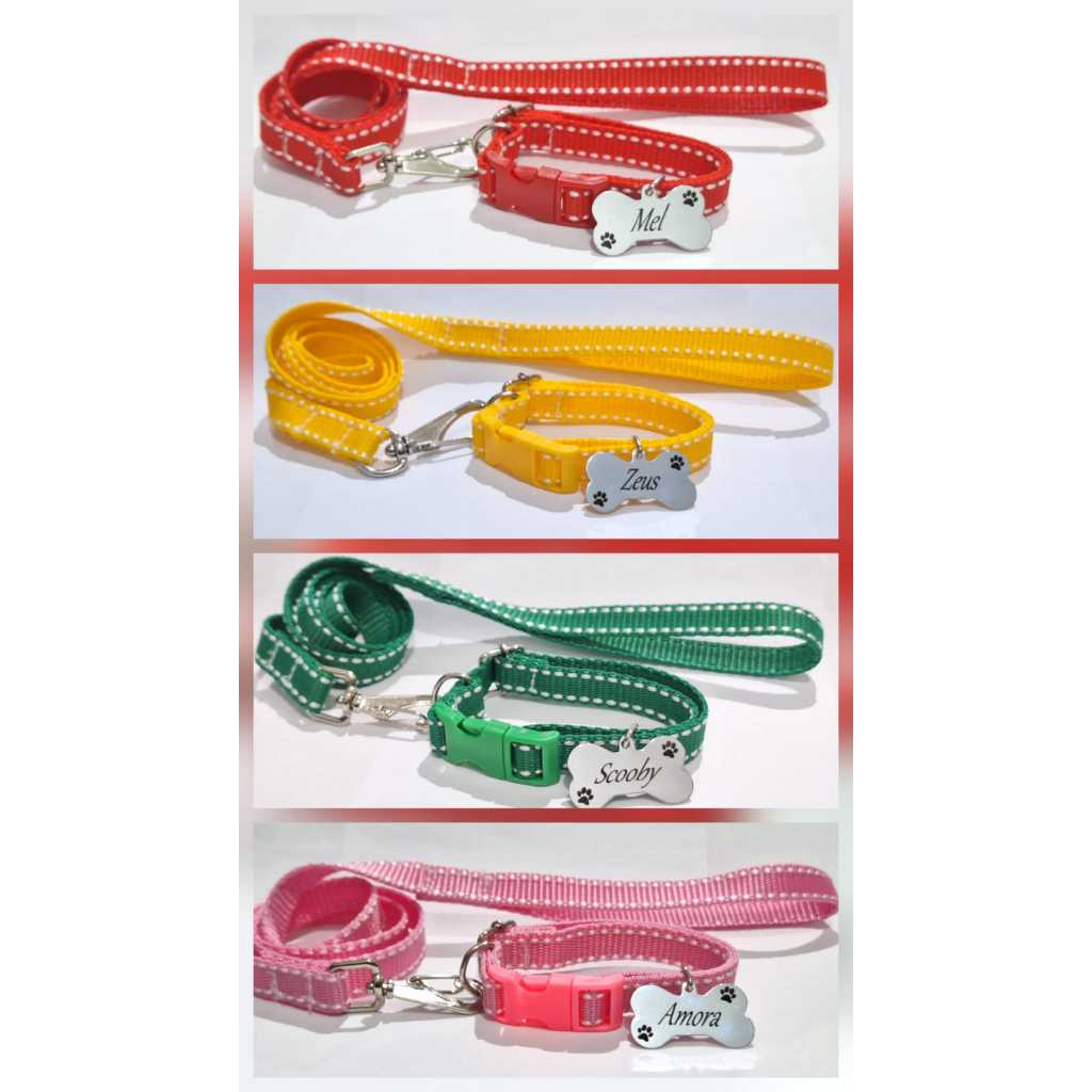 Coleira Para Cães ou Gatos com Guia + Plaquinha de Identificação Gravada