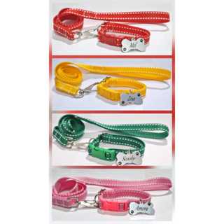 Coleira Para Cães ou Gatos com Guia + Plaquinha de Identificação Gravada em Oferta na Shopee