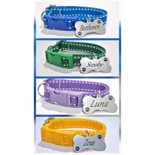 Coleira Para cães e Gatos Com Plaquinha de Identificação GRAVADA!!! em Oferta na Shopee