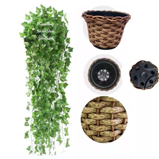 2 Kit Vaso trançado + 4 Planta Pendurada Verde Artificial Parede Varanda pendente verde caida Enfeite em Oferta na Shopee