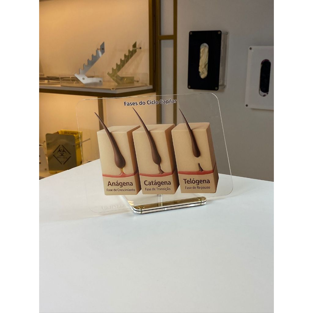 Quadro de Marcação - Macromodelo Fases do Ciclo Capilar - Guia Dermatológico