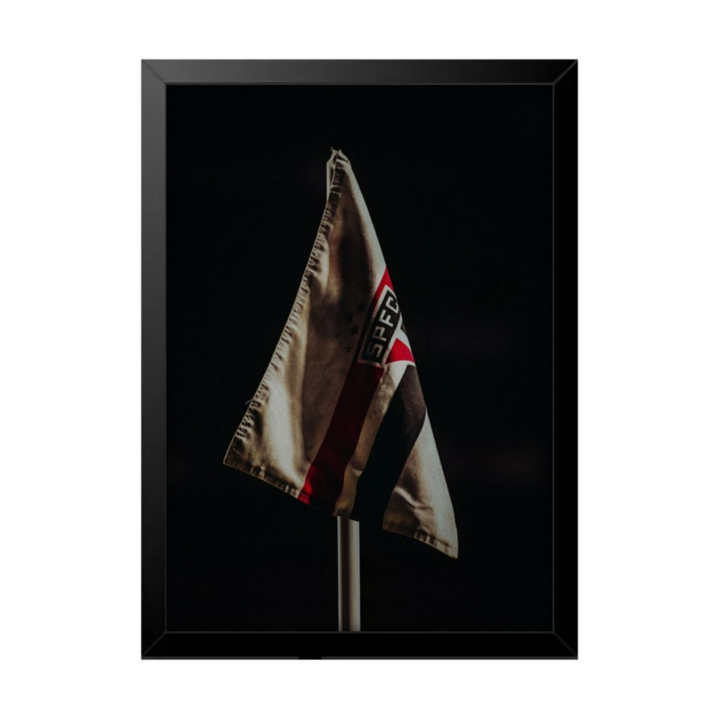 Quadro Decorativo Rogério Ceni São Paulo Ídolo Sala Quarto Futebol Tricolor Soberano Campeão