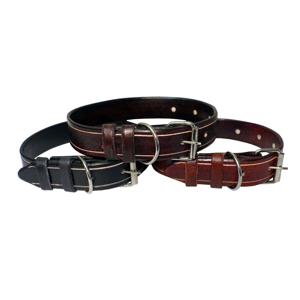 Coleira De Couro Confort Couro Luxo + Resitencia em Oferta na Shopee