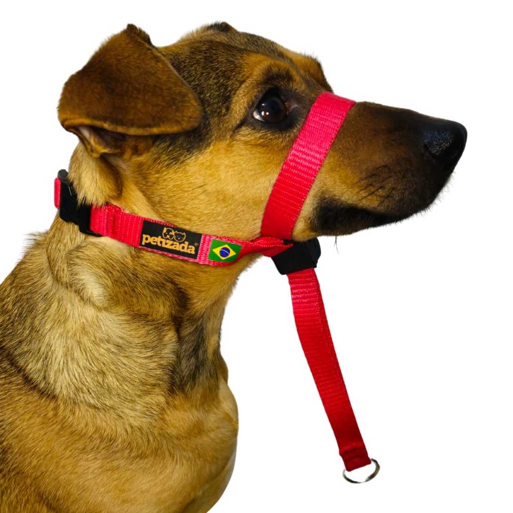 Coleira Cabresto Para Cachorro Com Guia Anti Puxão Adestramento Ajustável Com Trava