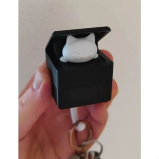 Porta Chaves Gatinho Escondido Decorativo Chaveiros - Impressão 3D em Oferta na Shopee