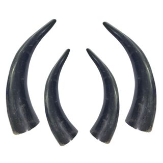 Chifre De Boi Polido Artesanal Mordedor Unidade Umbanda Candomblé em Oferta na Shopee