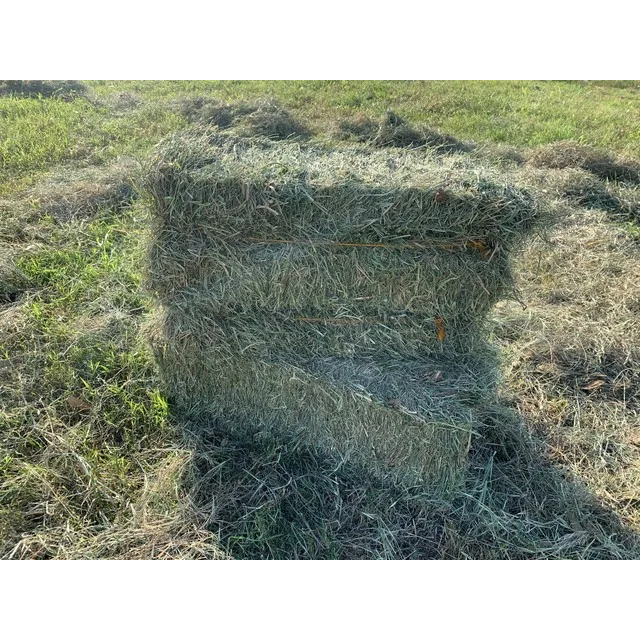 Produtores de Ração Animal: Onde Comprar | BuscaProdutos