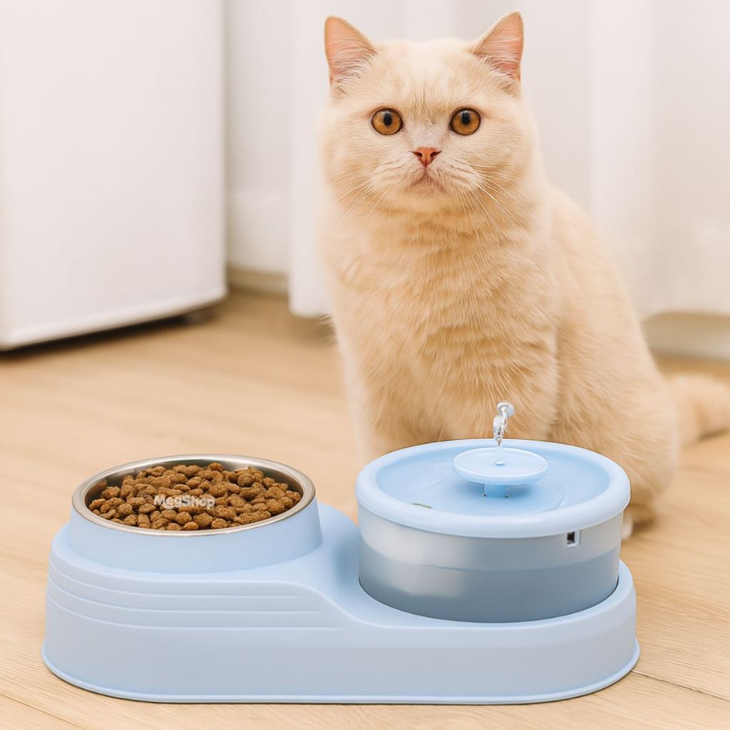 Bebedouro Fonte De Água Bivolt duplo com comedouro inox  para Cães E Gatos pets