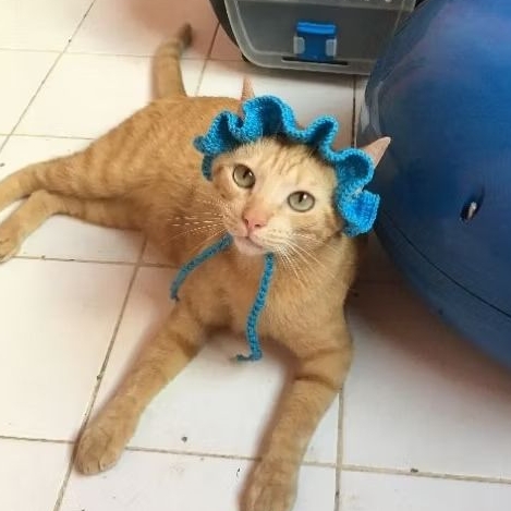 Chapéu pets de crochê