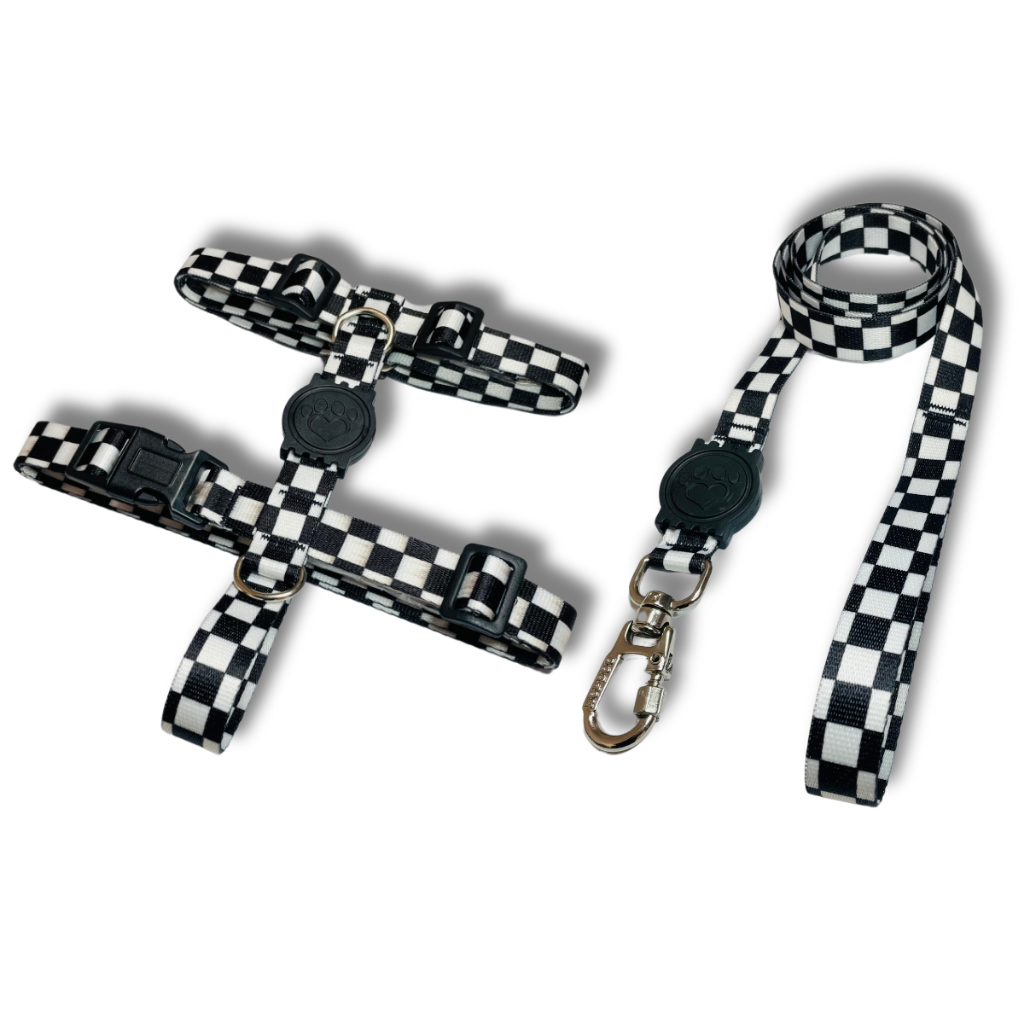 Kit Coleira Peitoral H Anti Puxão e Guia Cães Cachorro Pets Xadrez