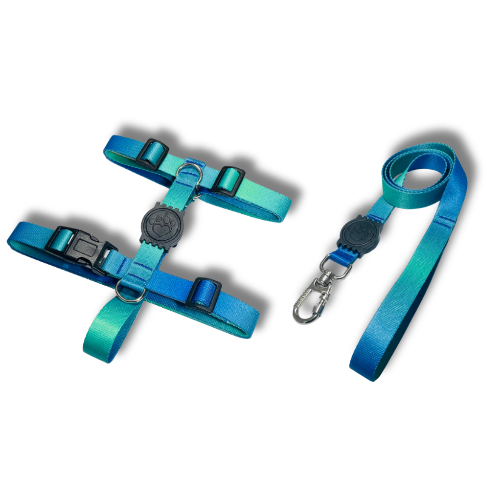 Coleira Peitoral H Anti Puxão e Guia para Cachorro Azul e Verde em Oferta na Shopee