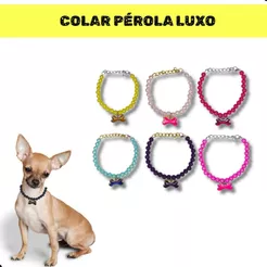 Colar de Pérola Para Cachorro Com Regulagem Colar Luxo Moda Pet