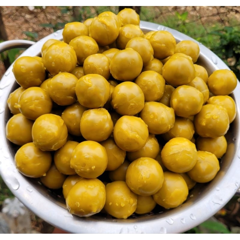 Bombom de pólen 250g,Alimentação para Jatai,Mandaçaia,Bugia,borá,Tubuna em Oferta na Shopee