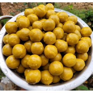 Bombom de pólen 250g,Alimentação para Jatai,Mandaçaia,Bugia,borá,Tubuna em Oferta na Shopee