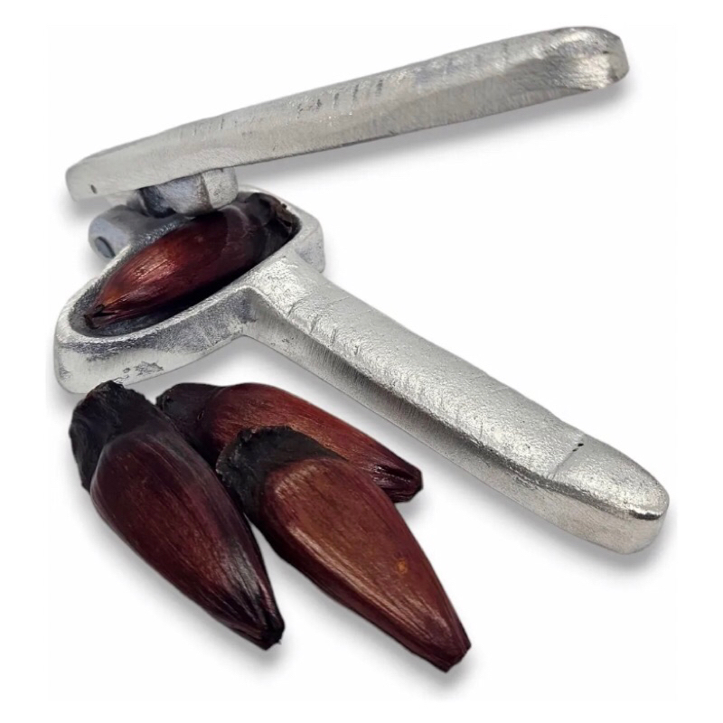 Descascador de pinhão COZIDO, feito em alumínio fundido. em Oferta na Shopee