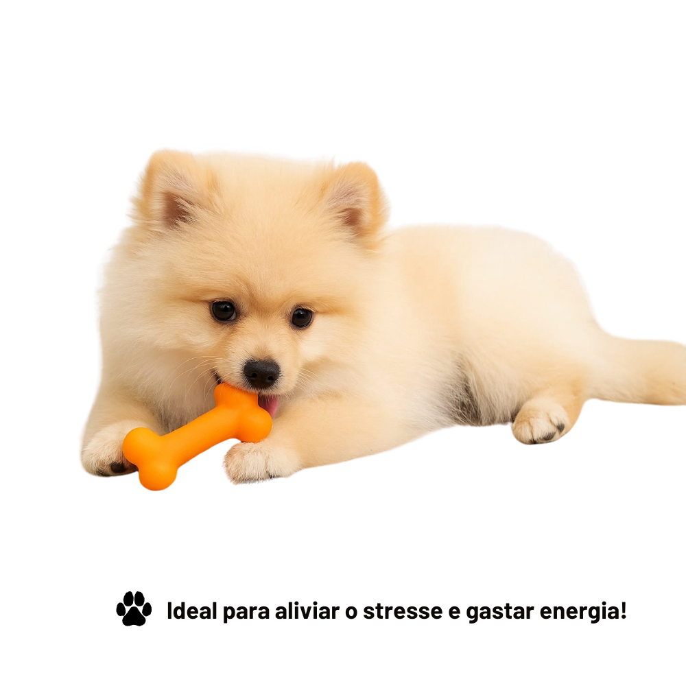 Kit 6 Brinquedos Mordedor Pet Sortido Interativo Sonoro Cães Cachorro Alivio Ansiedade Diversão — imagem 2 de 2