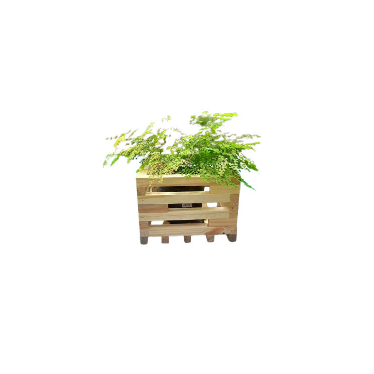 Base de Madeira Tipo Caixote – Suporte Decorativo para Plantas e Objetos