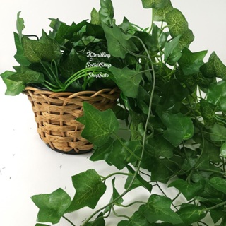 Planta Decorativa + 1 Vaso Trançado Sintético Com 1 Pendente Artificial 2M Folhas De Hera Decor em Oferta na Shopee