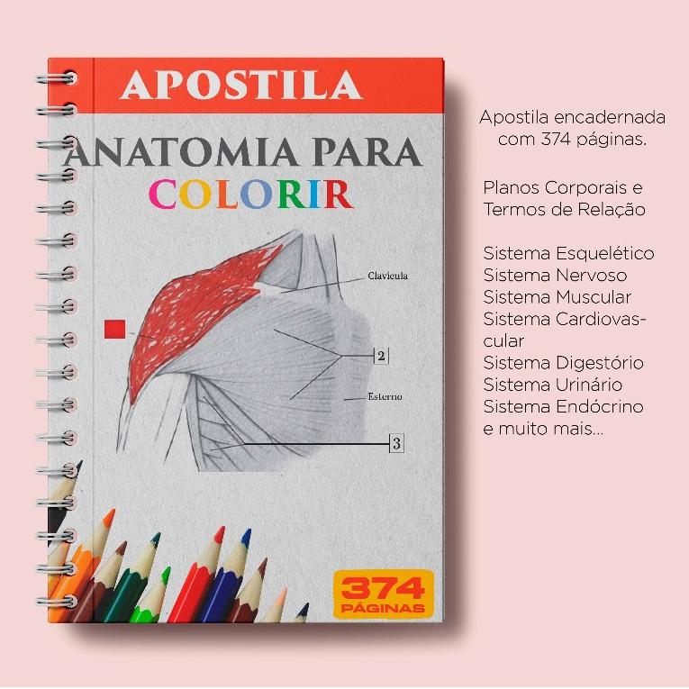 Apostila Anatomia para Colorir – Impressa e Encadernada Envio Imediato em Oferta na Shopee