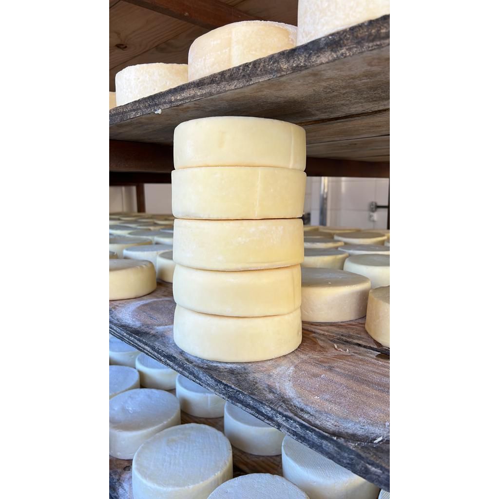 KIT 5 UN QUEIJO CANASTRA FAZENDA SÃO TIAGO SÃO ROQUE DE MINAS 1,2 KG