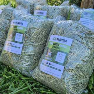 Feno Tifton Premium para coelho,porquinho da india... em Oferta na Shopee