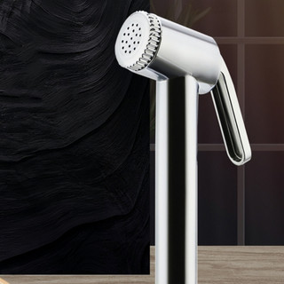 Chuveiro Sanitário Completo Luxo Metal Aço + ABS 1.3m Promoção Privada
