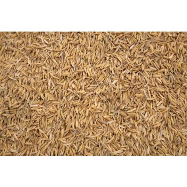 Casca de arroz natural 100 litros para forração, adubação e fabricação de bokashi