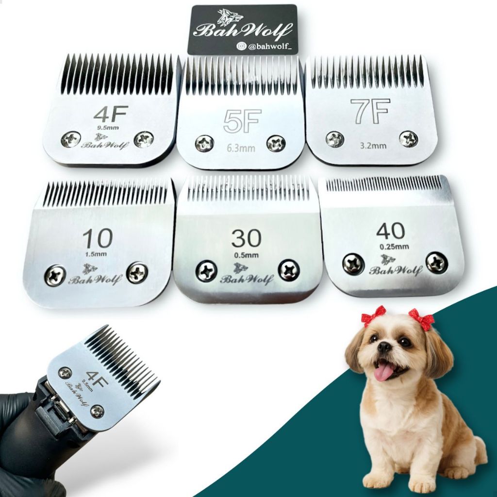 Lamina 10 ou 30 ,ou 40 Banho E Tosa pet Compatível Agc,Agc2 Oster A5 A6 km10 Pluma 7f 4f 5f Bravura