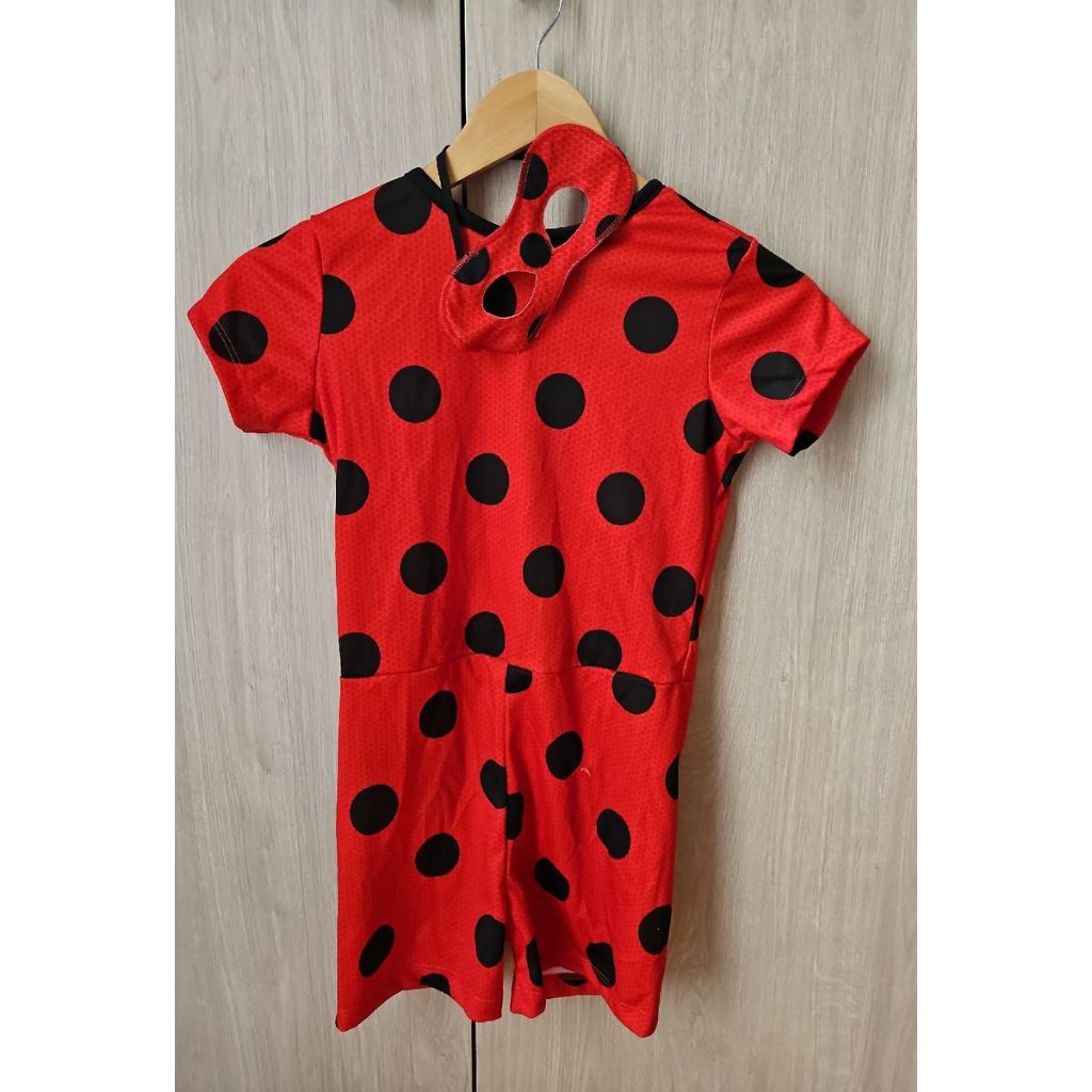 Fantasia infantil Ladybug