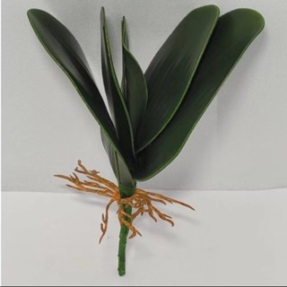 Kit 2 Folhas De Orquídea Artificial Complemento De Arranjos Folhagem em Oferta na Shopee