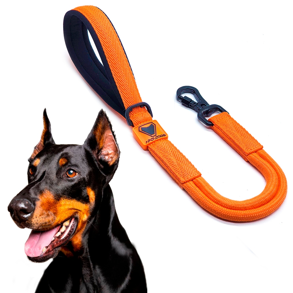 Guia Dupla para Pitbull: Onde Comprar | BuscaProdutos