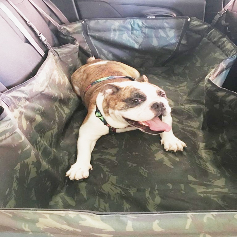 Capa caixa para trasnporte Pet protetora para banco  traseiro camuflada