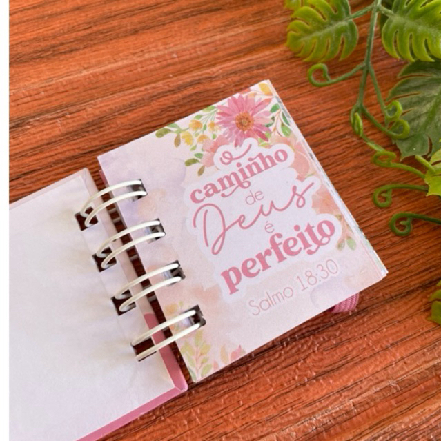 Mini Bíblia Lembrancinha Personalizada/Primeira Eucaristia/Batizados
