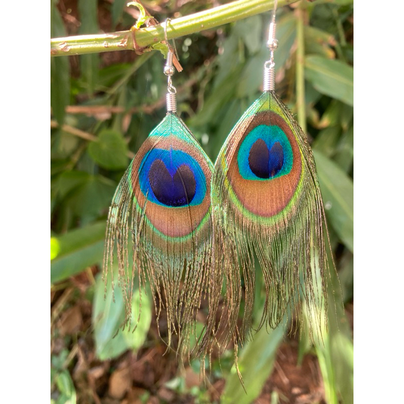Brinco Pena de Pavão: Onde Comprar | BuscaProdutos