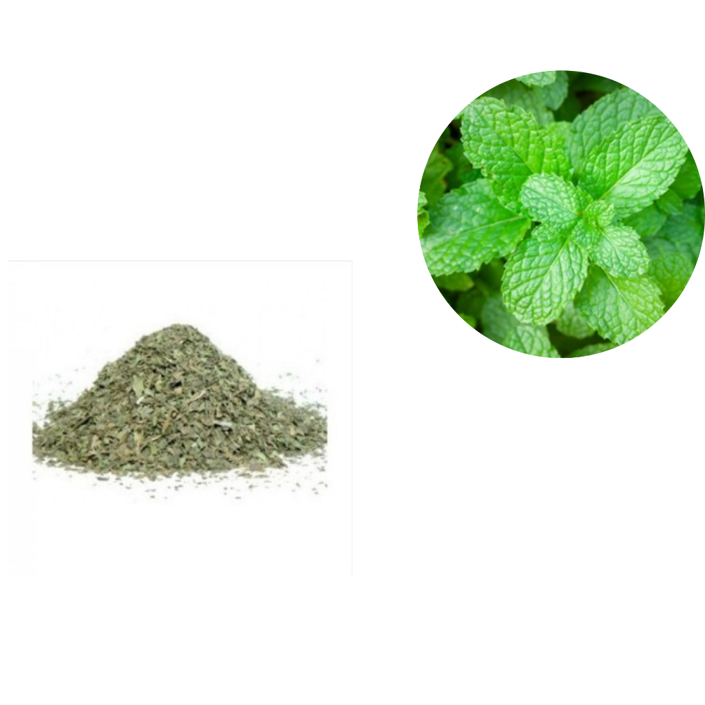 Menta Piperita (Hortelã Pimenta) 500g Folhas Desidratadas Para Chás, sucos e emplastros em Oferta na Shopee