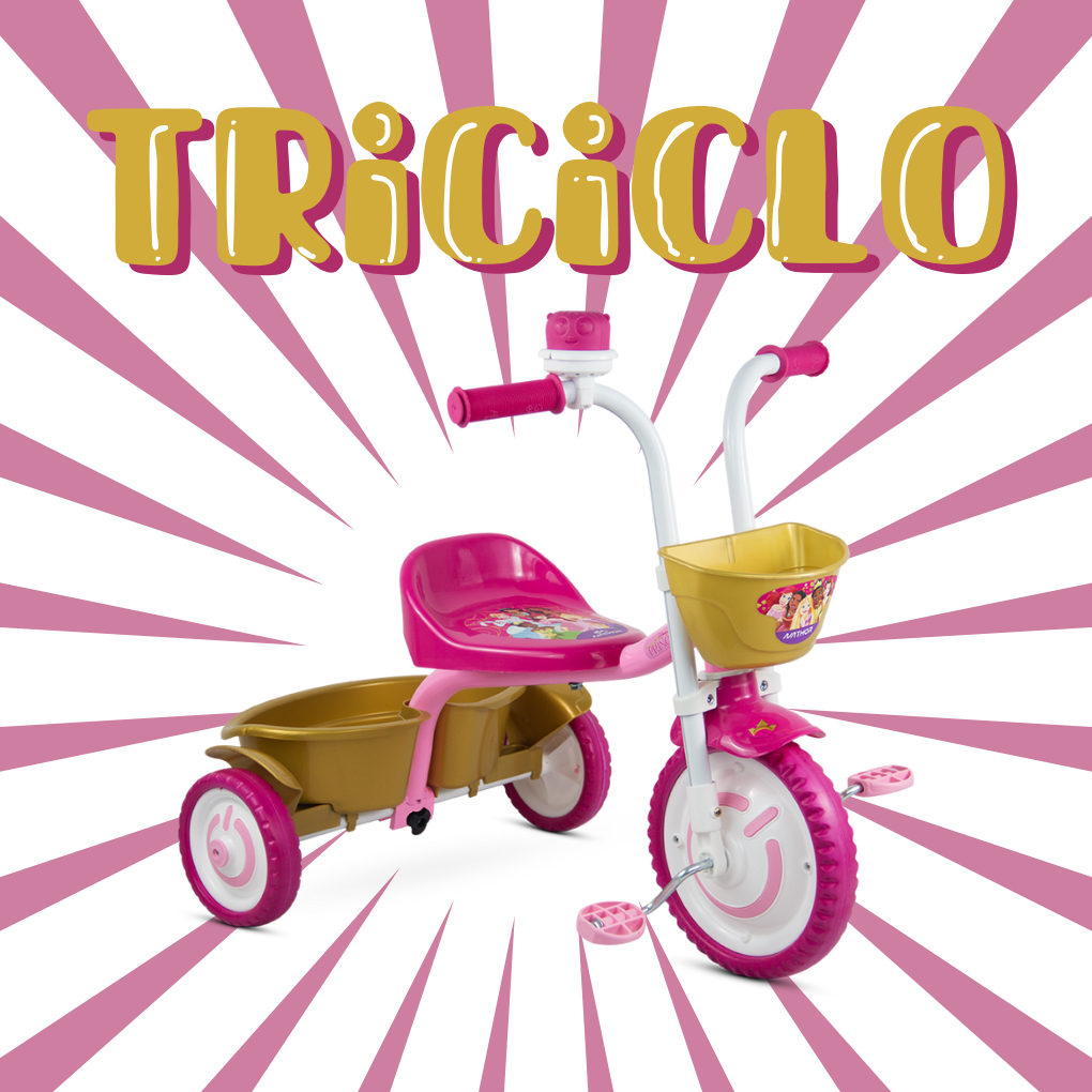 Triciclo Princesas Disney Infantil Menina Nathor Rosa Com Buzina Confortável