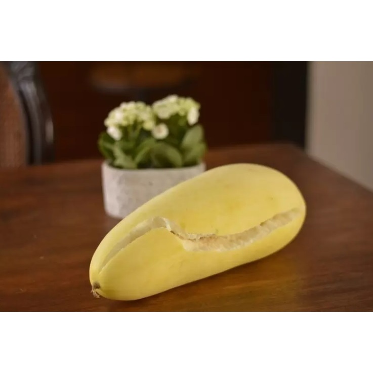 30 SEMENTES DE MELÃO DE NEVE em Oferta na Shopee