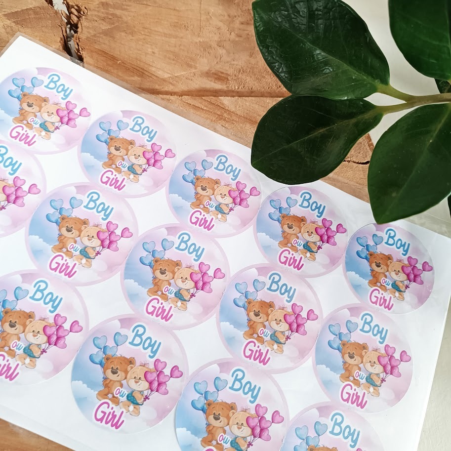 Adesivo Chá Revelação Ursinhos |Personalizados|Lembrancinhas| Decoração Infantil | Aniversário